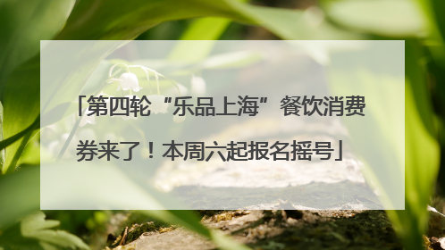 第四轮“乐品上海”餐饮消费券来了！本周六起报名摇号