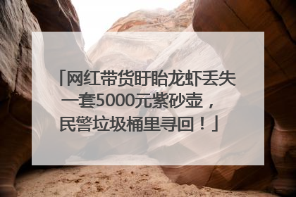 网红带货盱眙龙虾丢失一套5000元紫砂壶，民警垃圾桶里寻回！