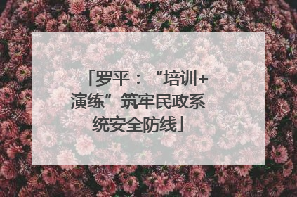 罗平：“培训+演练”筑牢民政系统安全防线