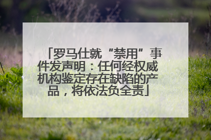 罗马仕就“禁用”事件发声明：任何经权威机构鉴定存在缺陷的产品，将依法负全责
