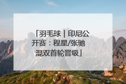 羽毛球｜印尼公开赛：程星/张驰混双首轮晋级