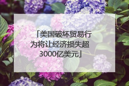 美国破坏贸易行为将让经济损失超3000亿美元