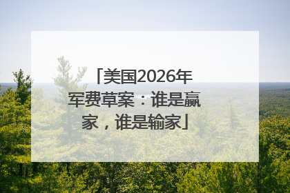 美国2026年军费草案：谁是赢家，谁是输家