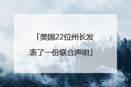 美国22位州长发表了一份联合声明