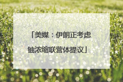 美媒：伊朗正考虑铀浓缩联营体提议