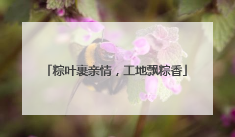 粽叶裹亲情，工地飘粽香