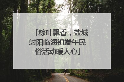 粽叶飘香，盐城射阳临海镇端午民俗活动暖人心