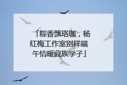粽香飘珞珈，杨红梅工作室别样端午情暖藏族学子