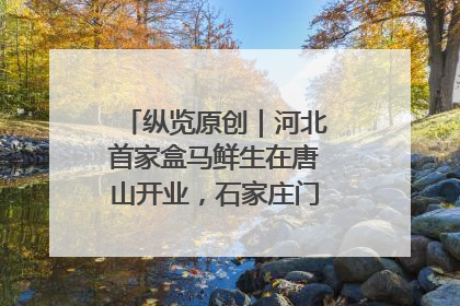 纵览原创｜河北首家盒马鲜生在唐山开业，石家庄门店预计8月开业