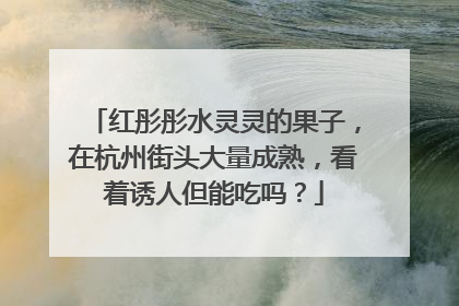 红彤彤水灵灵的果子，在杭州街头大量成熟，看着诱人但能吃吗？