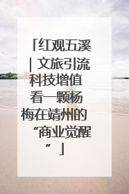 红观五溪｜文旅引流 科技增值 看一颗杨梅在靖州的“商业觉醒”