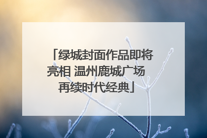绿城封面作品即将亮相 温州鹿城广场再续时代经典