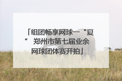 组团畅享网球一“夏” 郑州市第七届业余网球团体赛开拍
