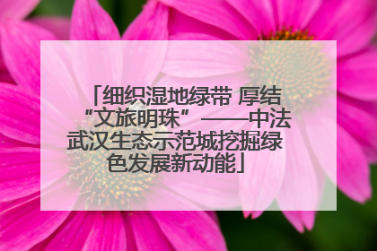 细织湿地绿带 厚结“文旅明珠”——中法武汉生态示范城挖掘绿色发展新动能