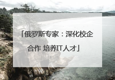 俄罗斯专家：深化校企合作 培养IT人才