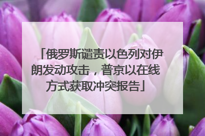 俄罗斯谴责以色列对伊朗发动攻击，普京以在线方式获取冲突报告