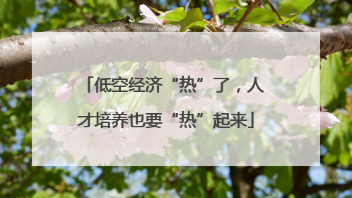 低空经济“热”了，人才培养也要“热”起来