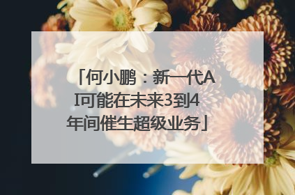何小鹏：新一代AI可能在未来3到4年间催生超级业务