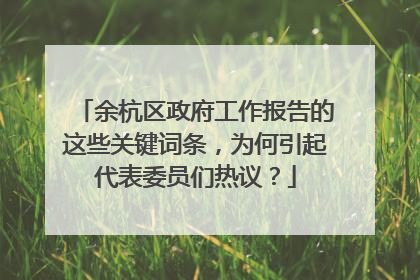 余杭区政府工作报告的这些关键词条，为何引起代表委员们热议？