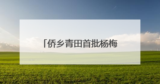 侨乡青田首批杨梅启程新加坡 保鲜提质售出“金果果”