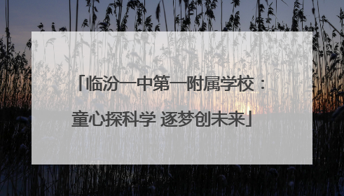 临汾一中第一附属学校：童心探科学 逐梦创未来