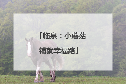 临泉：小蘑菇铺就幸福路