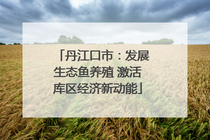 丹江口市：发展生态鱼养殖 激活库区经济新动能