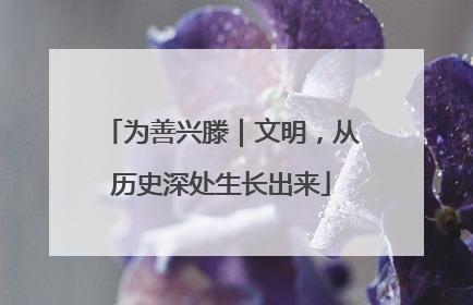 为善兴滕｜文明，从历史深处生长出来