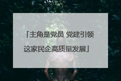 主角是党员 党建引领这家民企高质量发展