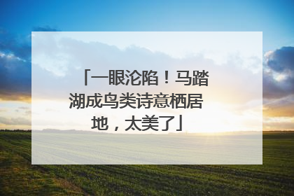 一眼沦陷！马踏湖成鸟类诗意栖居地，太美了