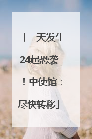 一天发生24起恐袭！中使馆：尽快转移