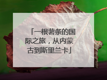 一根薯条的国际之旅，从内蒙古到斯里兰卡