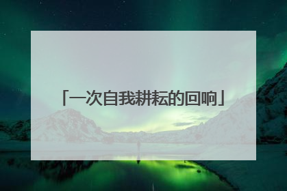 一次自我耕耘的回响