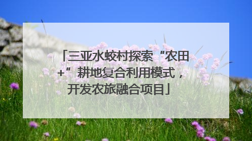 三亚水蛟村探索“农田+”耕地复合利用模式，开发农旅融合项目