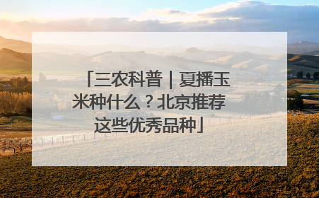 三农科普｜夏播玉米种什么？北京推荐这些优秀品种