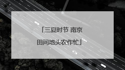 三夏时节 南京田间地头农作忙