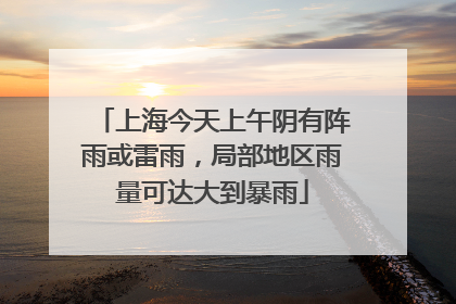 上海今天上午阴有阵雨或雷雨，局部地区雨量可达大到暴雨
