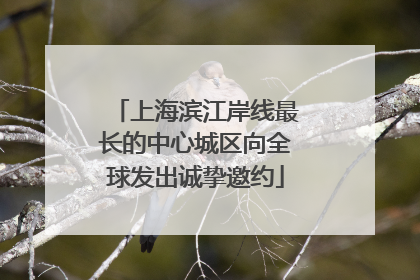 上海滨江岸线最长的中心城区向全球发出诚挚邀约