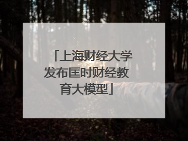 上海财经大学发布匡时财经教育大模型
