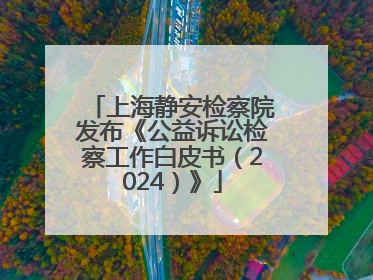 上海静安检察院发布《公益诉讼检察工作白皮书（2024）》