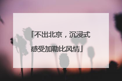 不出北京，沉浸式感受加勒比风情