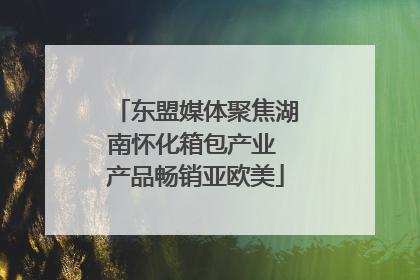 东盟媒体聚焦湖南怀化箱包产业 产品畅销亚欧美