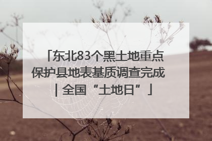 东北83个黑土地重点保护县地表基质调查完成｜全国“土地日”