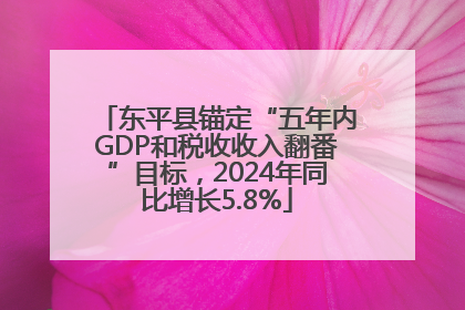 东平县锚定“五年内GDP和税收收入翻番”目标，2024年同比增长5.8%