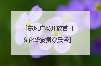 东风广场开放首日 文化盛宴贯穿晨昏