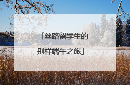 丝路留学生的别样端午之旅