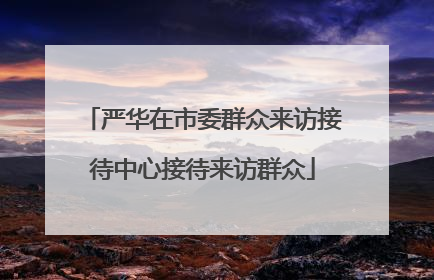 严华在市委群众来访接待中心接待来访群众
