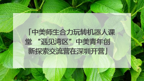 中美师生合力玩转机器人课堂 “遇见湾区”中美青年创新探索交流营在深圳开营