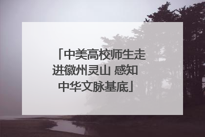 中美高校师生走进徽州灵山 感知中华文脉基底