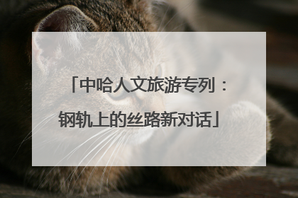 中哈人文旅游专列：钢轨上的丝路新对话